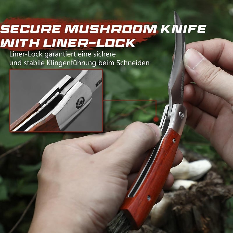 DRACHENADER Mushroom Knife N-1, 8.15" Folding Mushroom Knife with Brush, Leather Sheath, 5Cr14MoV Stainless Steel Blade, secure Liner-Lock Design for Foraging and Harvesting - Image 5